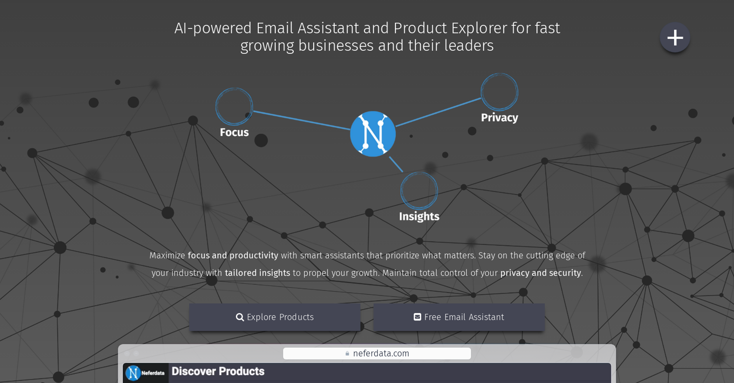 Neferdata website