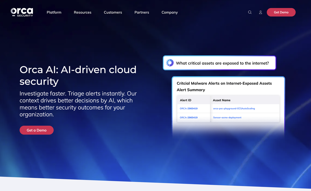 Orca AI website