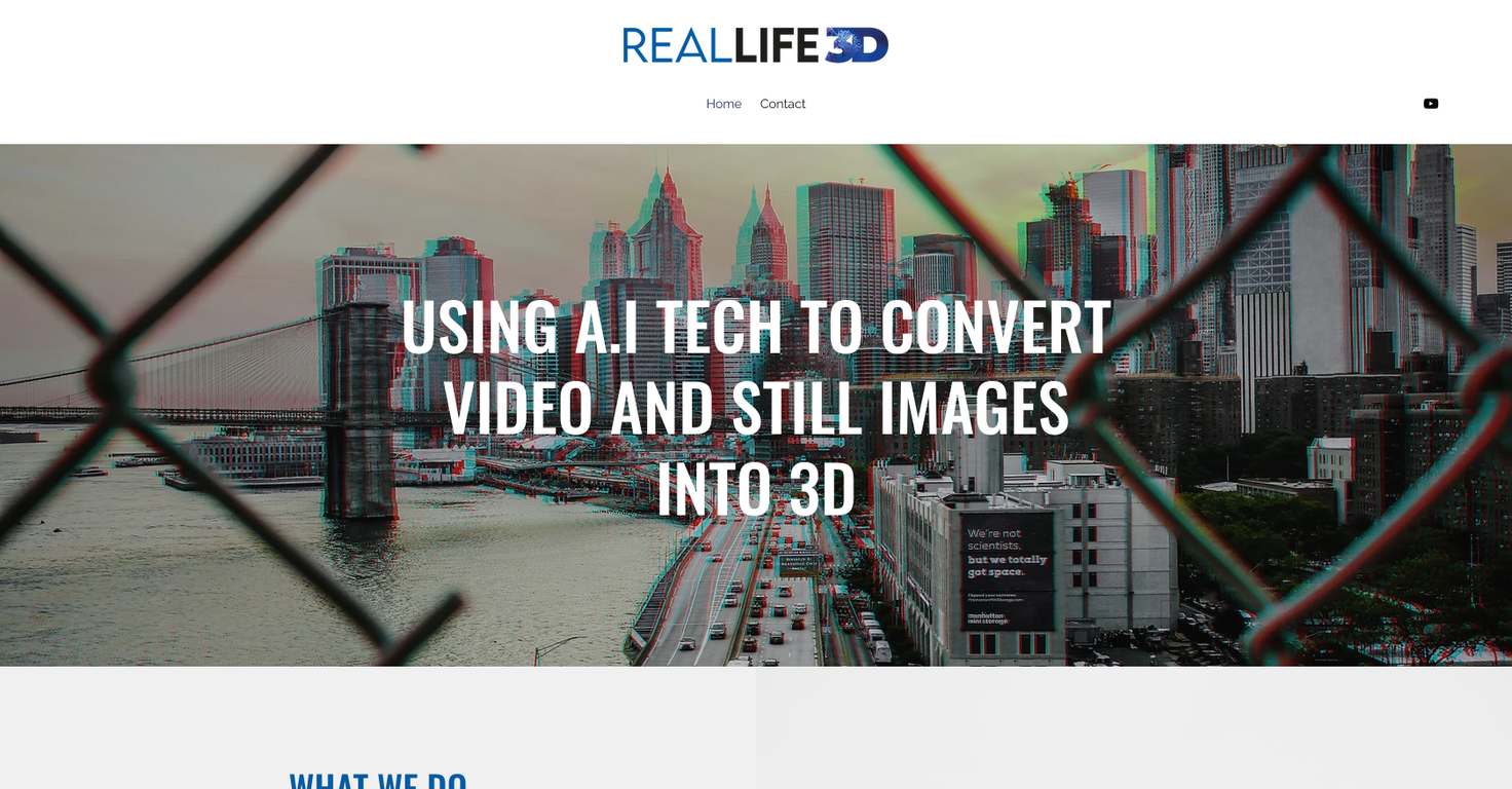 Reallife3d website