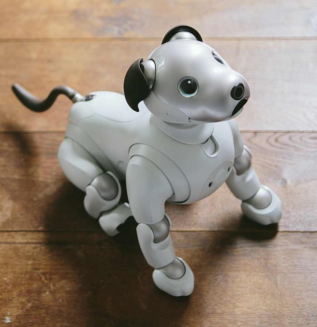 aibo image