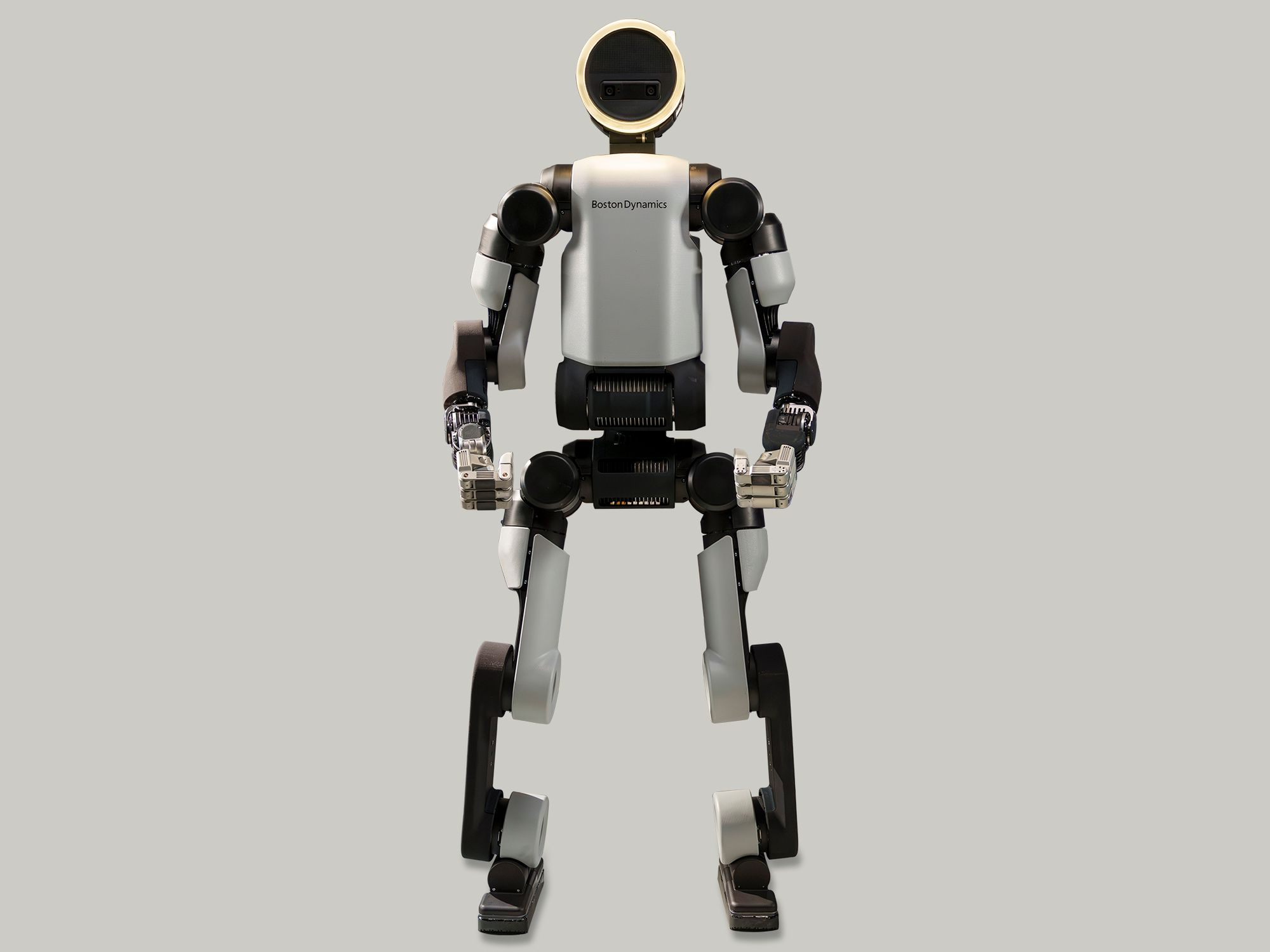 Atlas image