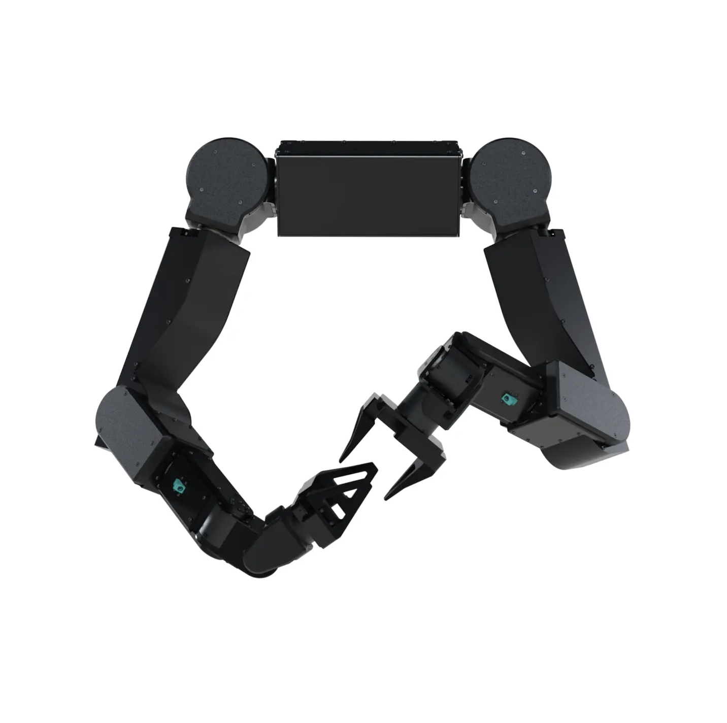 Axol image