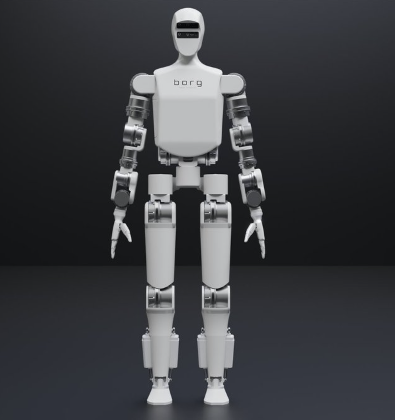 Borg 01 image