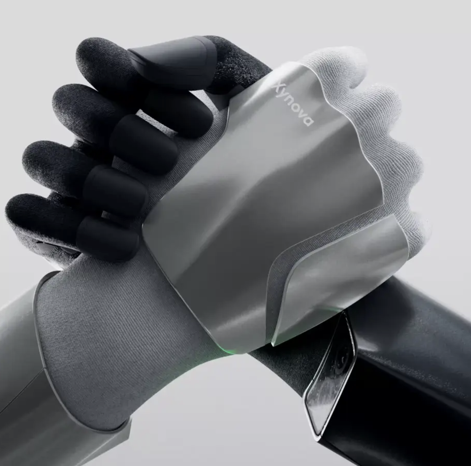 Flex 2 image