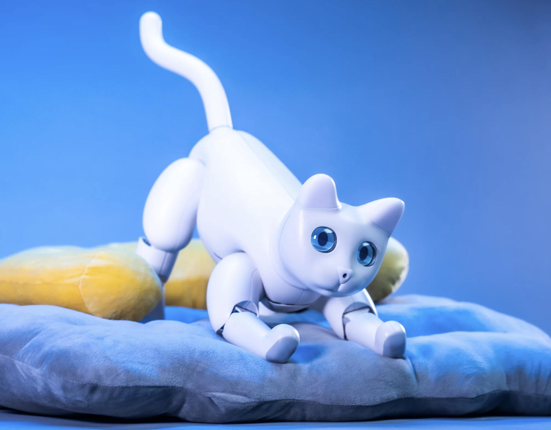 MarsCat image