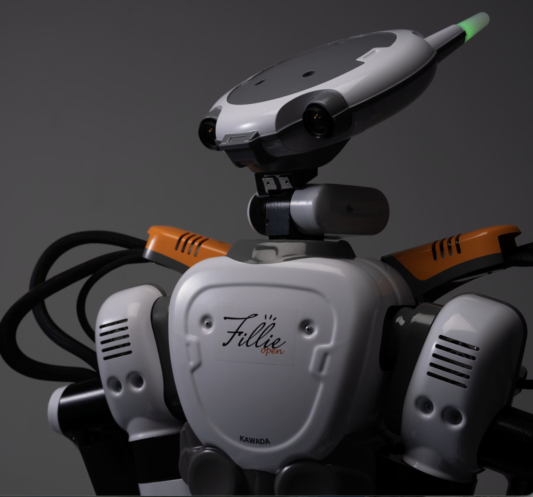 NEXTAGE Fillie image