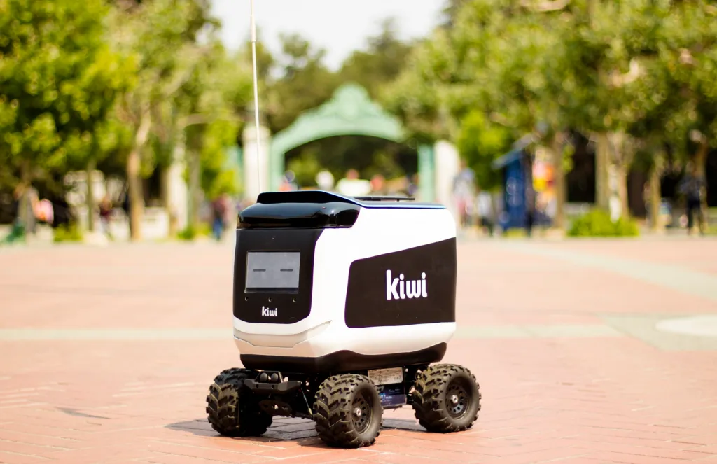 RKiwi image