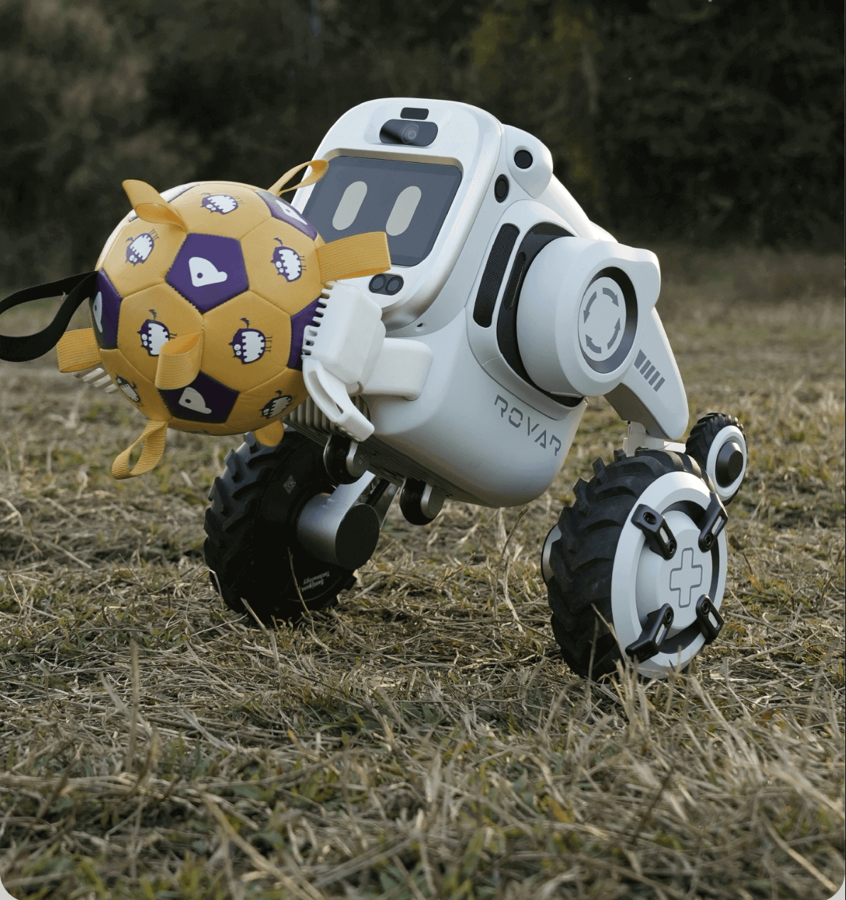 ROVAR X3 image