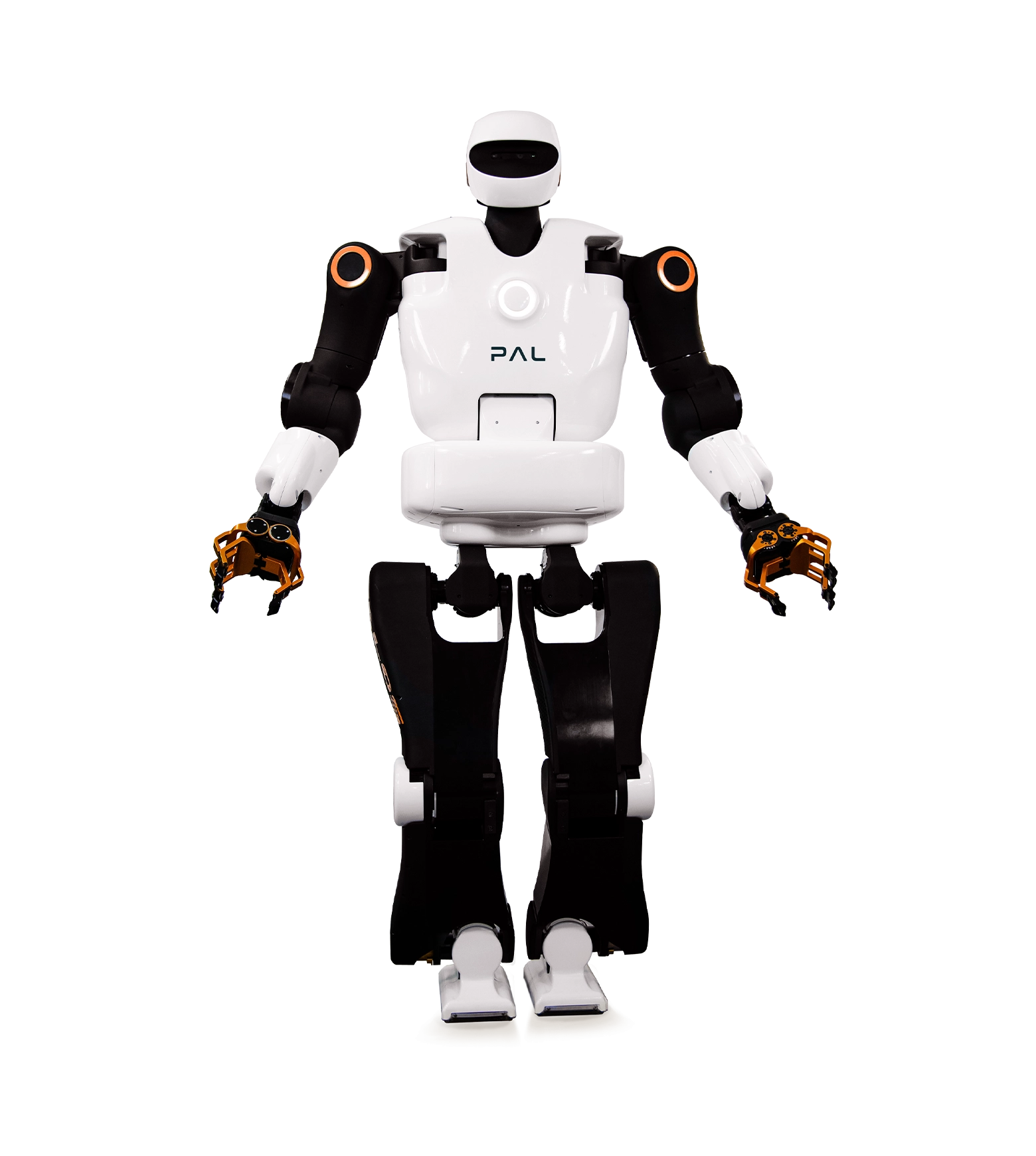 TALOS image