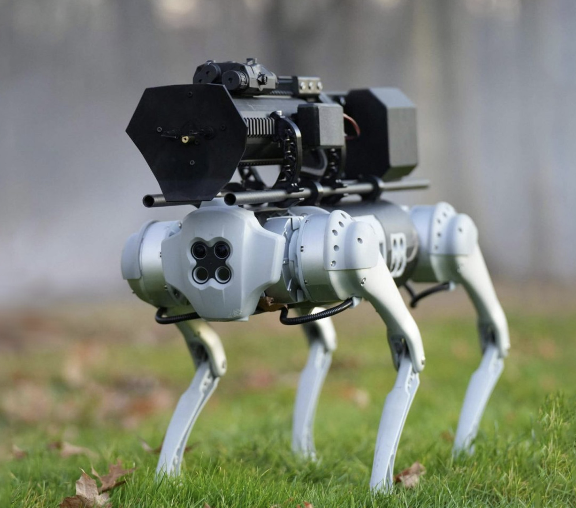 Thermonator image