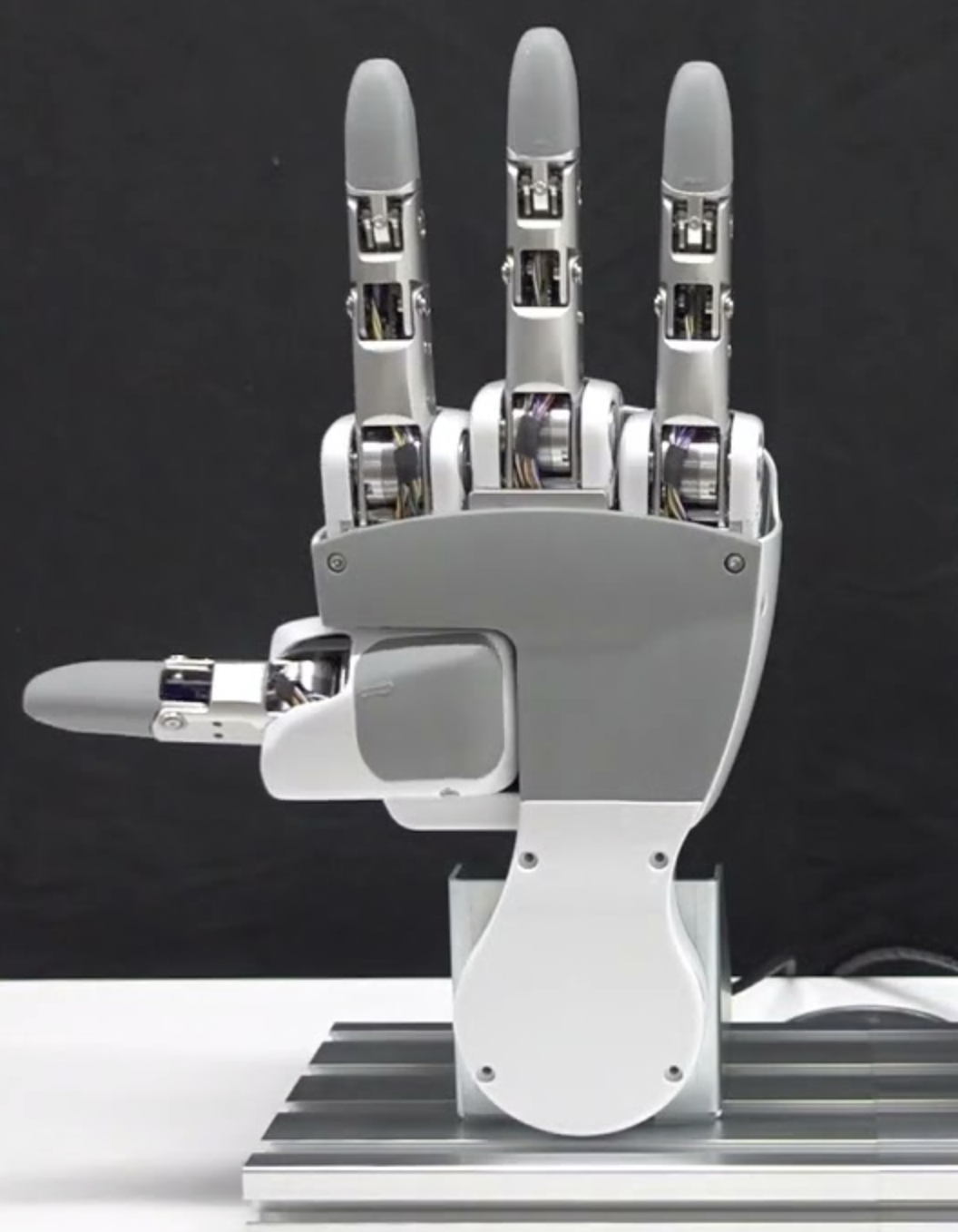 Torobo Hand image