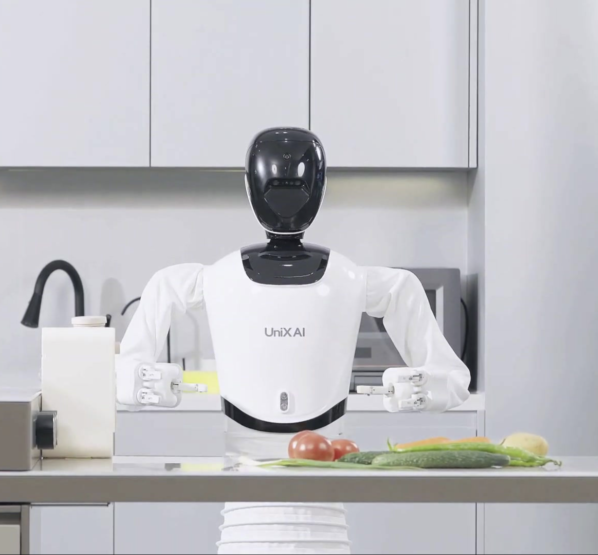 Wanda 2.0 image