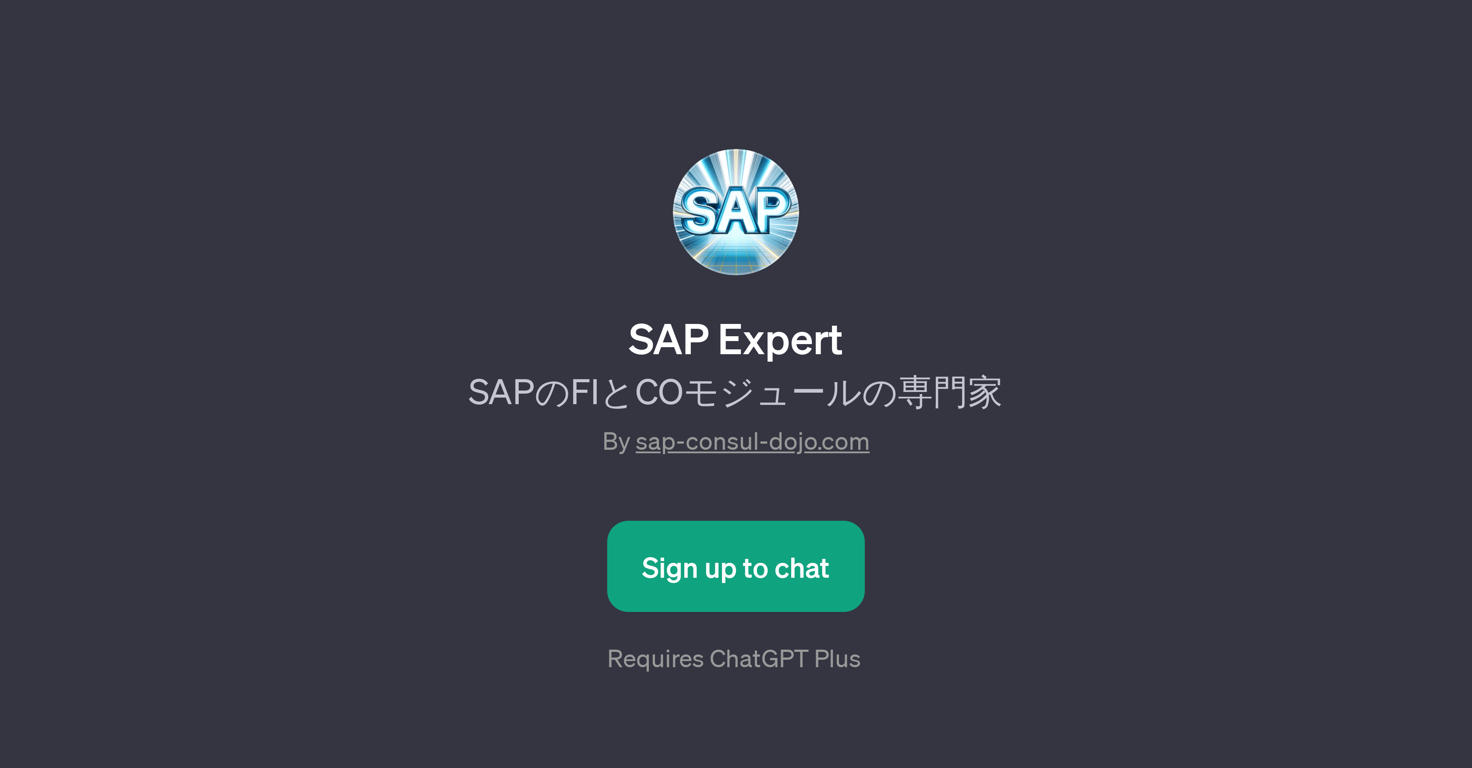 SAP Expert website