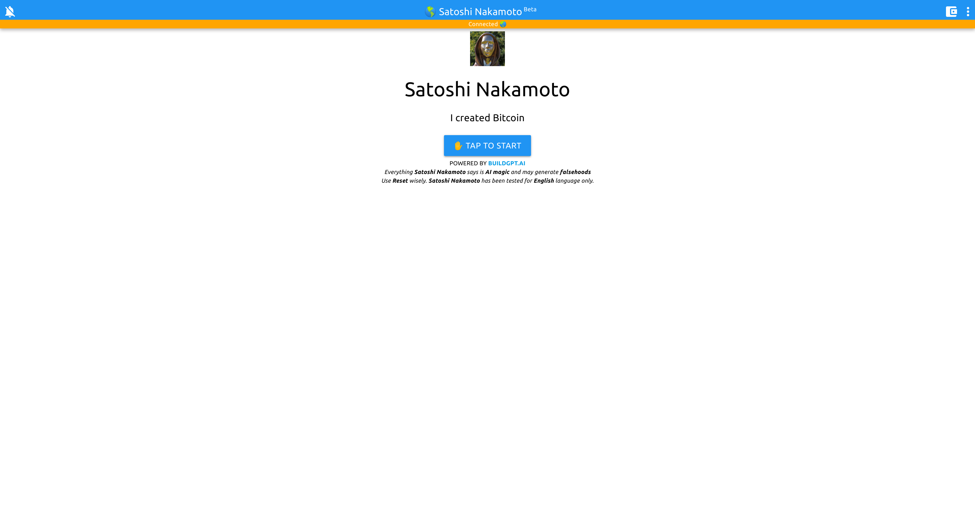 Satoshi Nakamoto Chatbot website