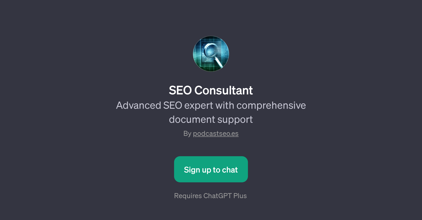 SEO Consultant website