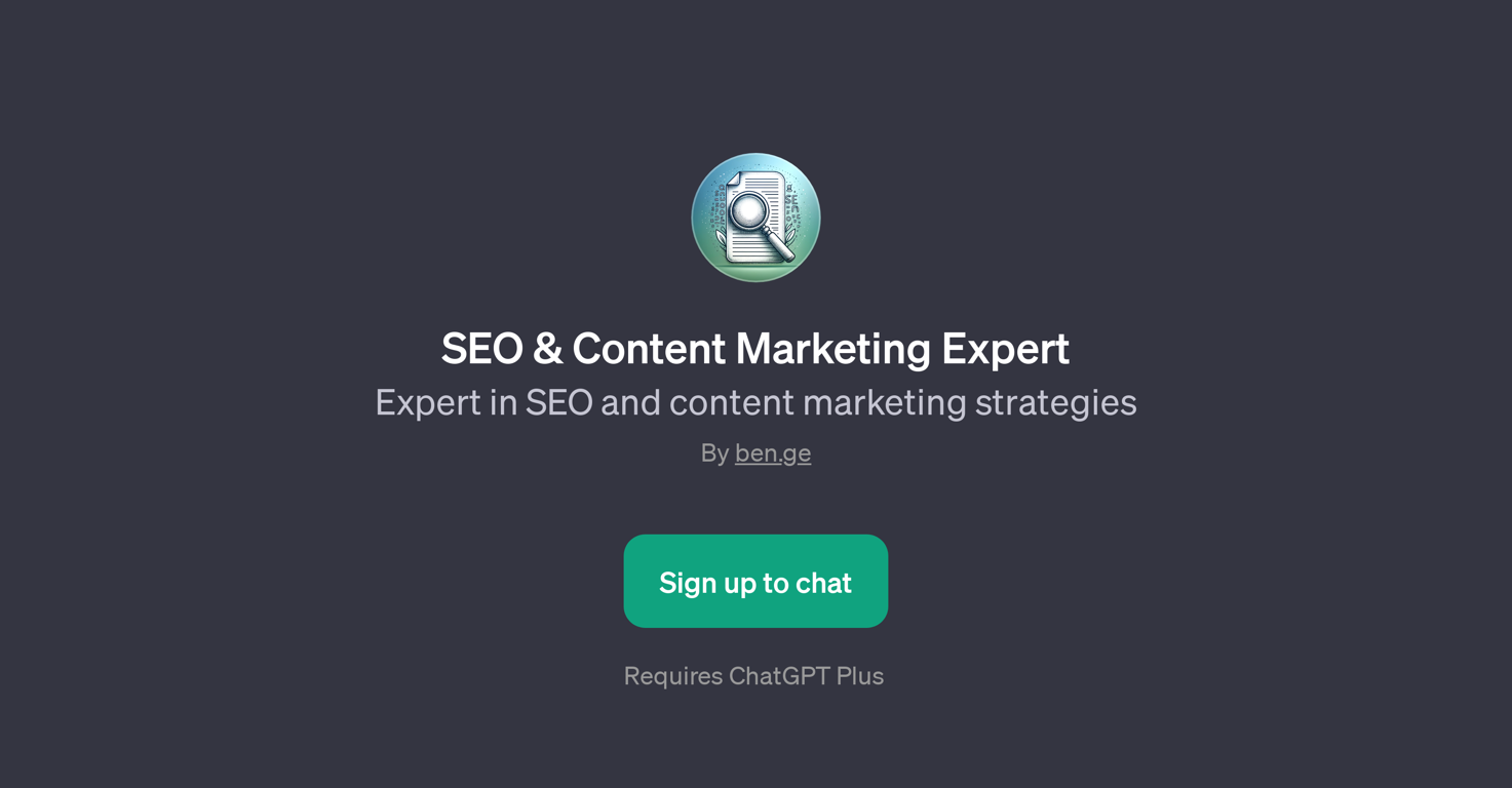 SEO & Content Marketing Expert website