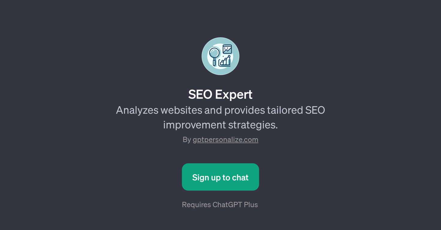 SEO Expert website