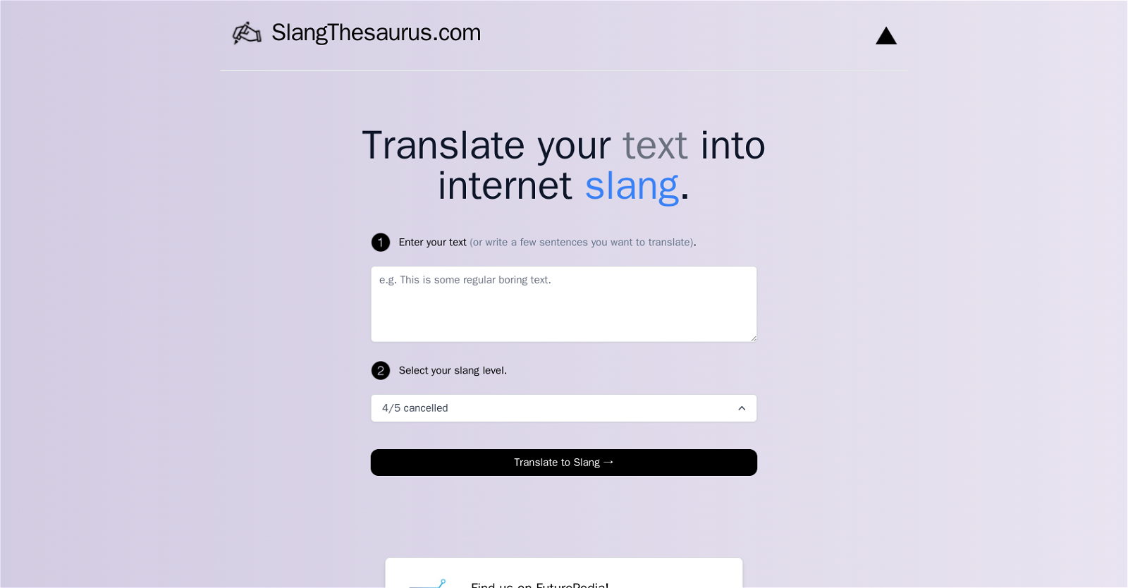 Slang Translator website