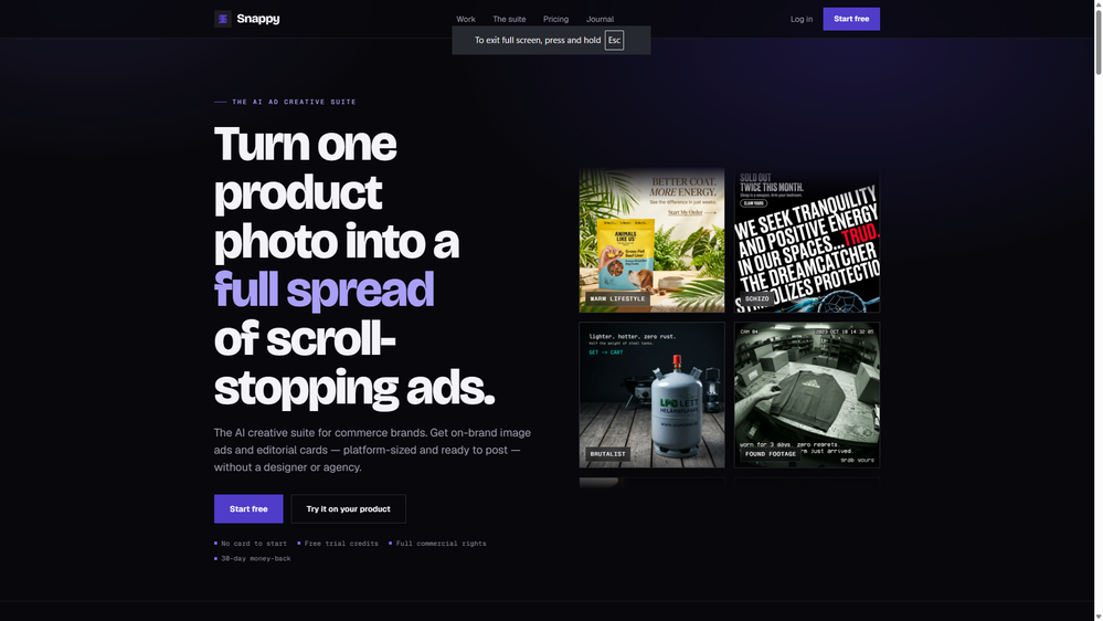 Snappy Ads website