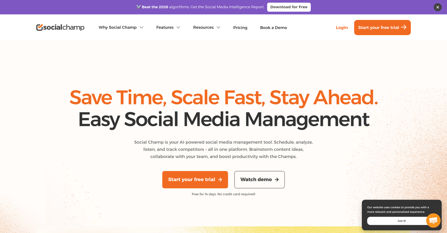 Social Champ website