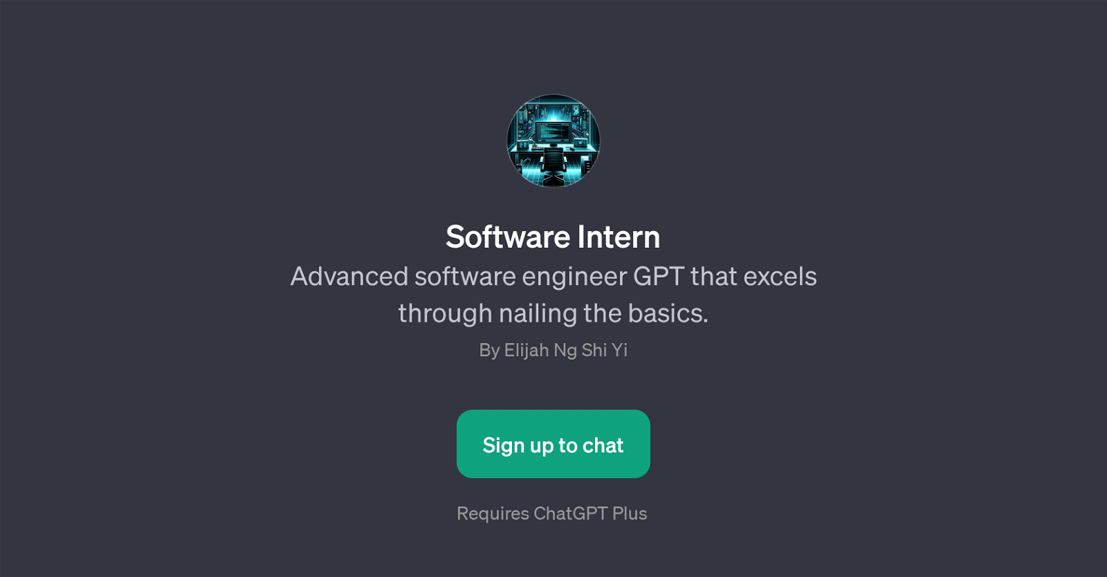 Software Intern website