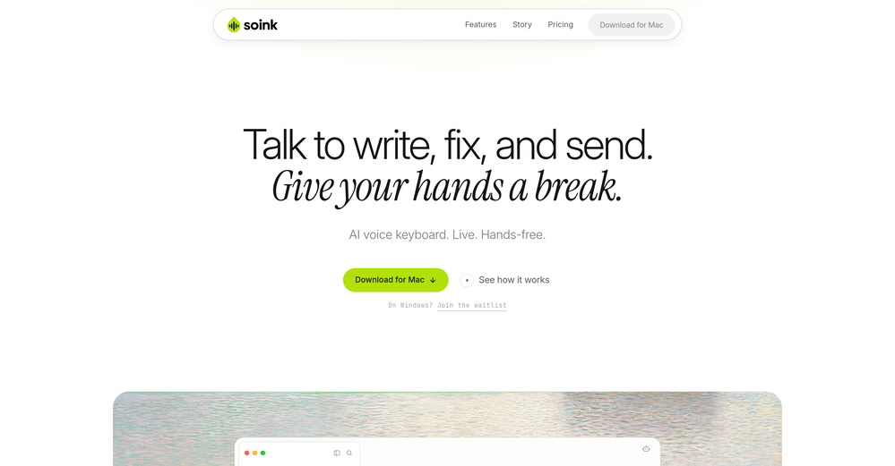 soink website