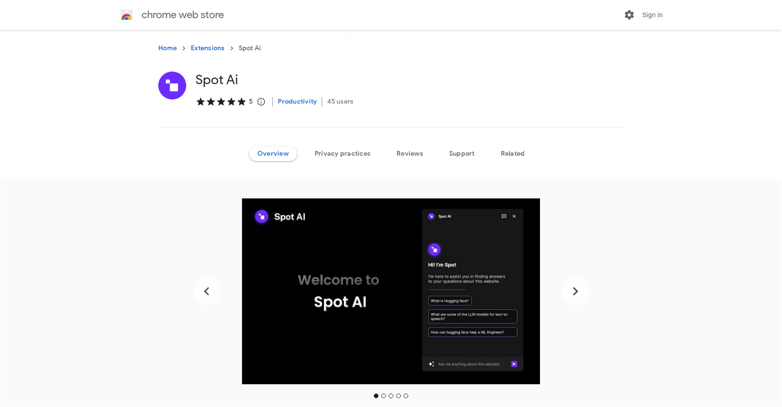 Spot AI website