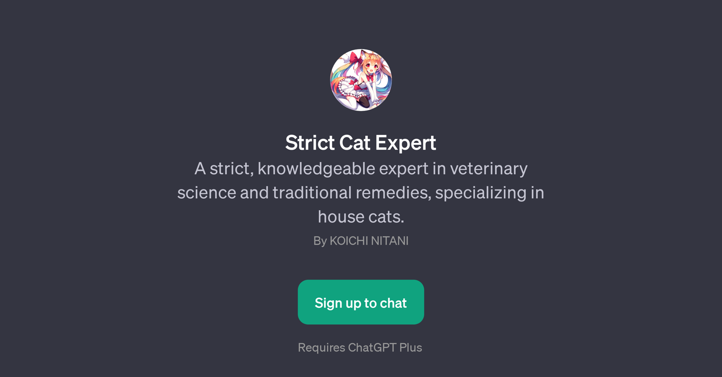 Strict Cat Expert website