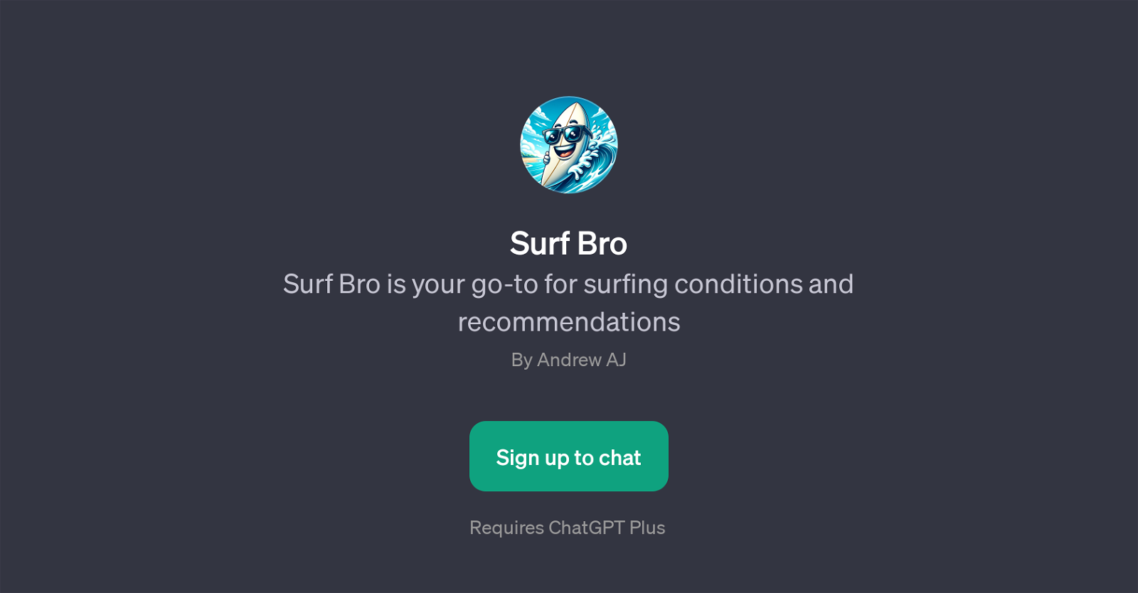 Surf Bro website