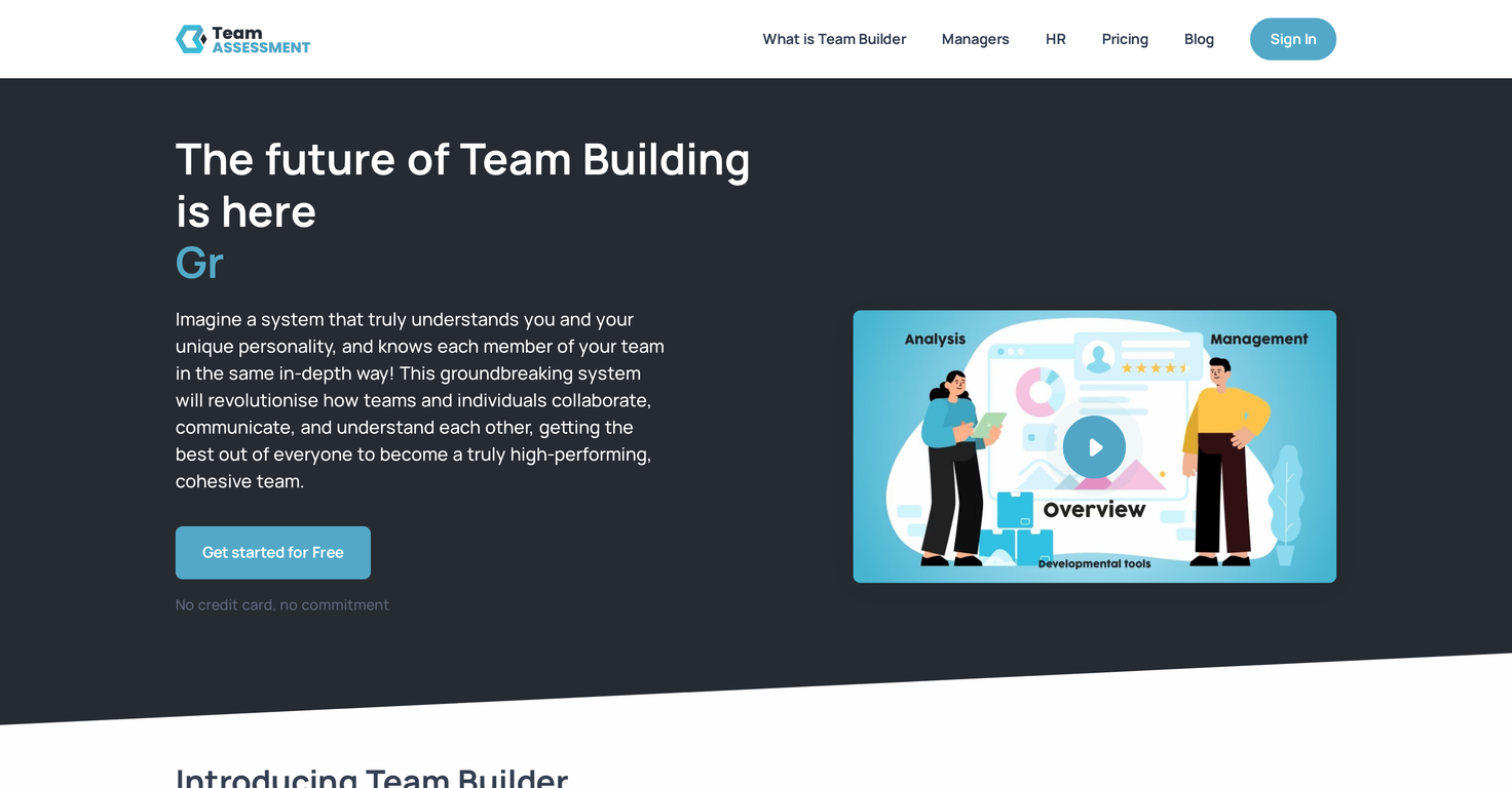 Team Assessment website