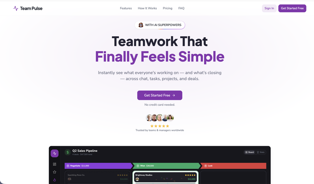Team Pulse website