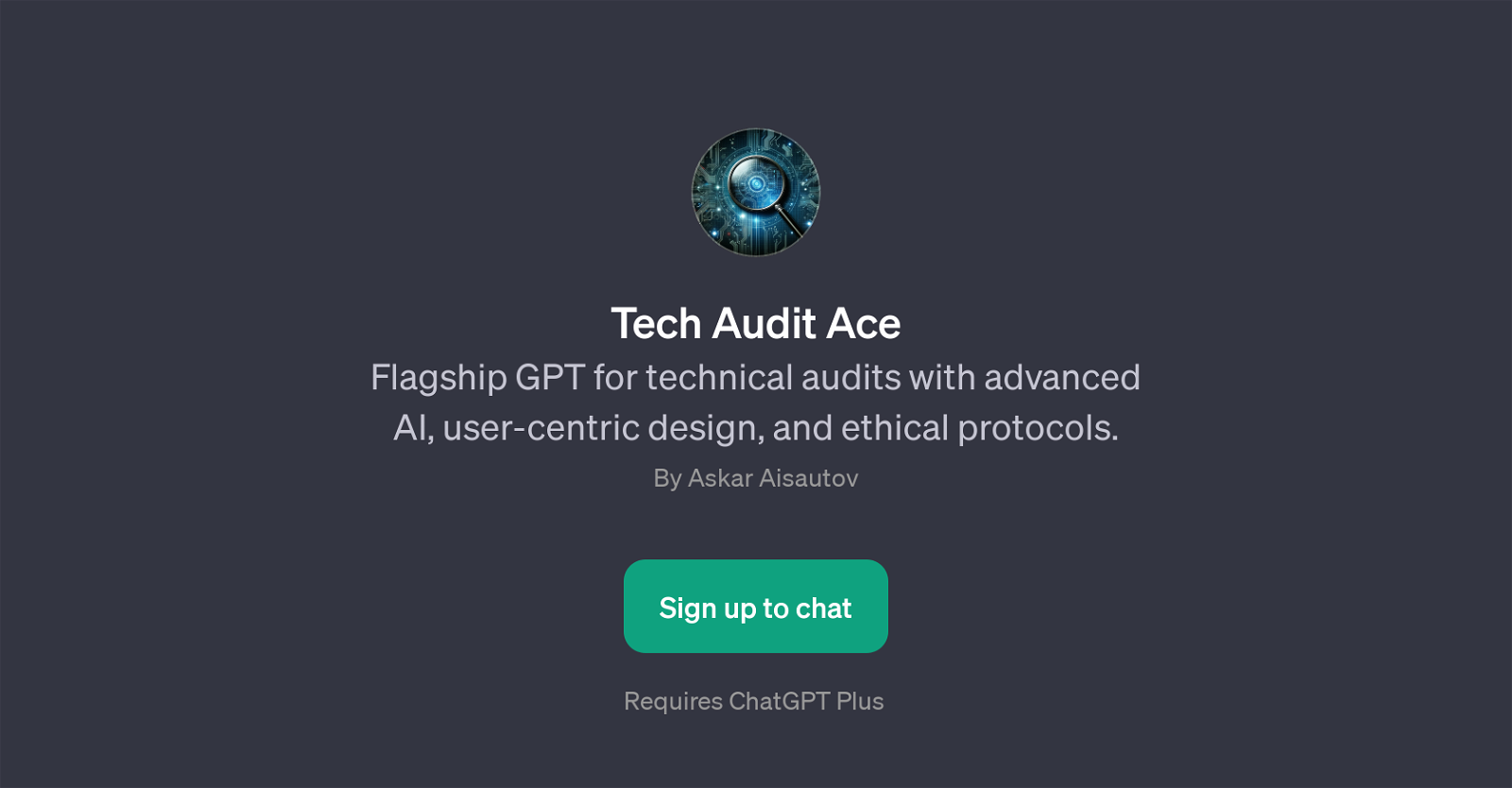 Tech Audit Ace website