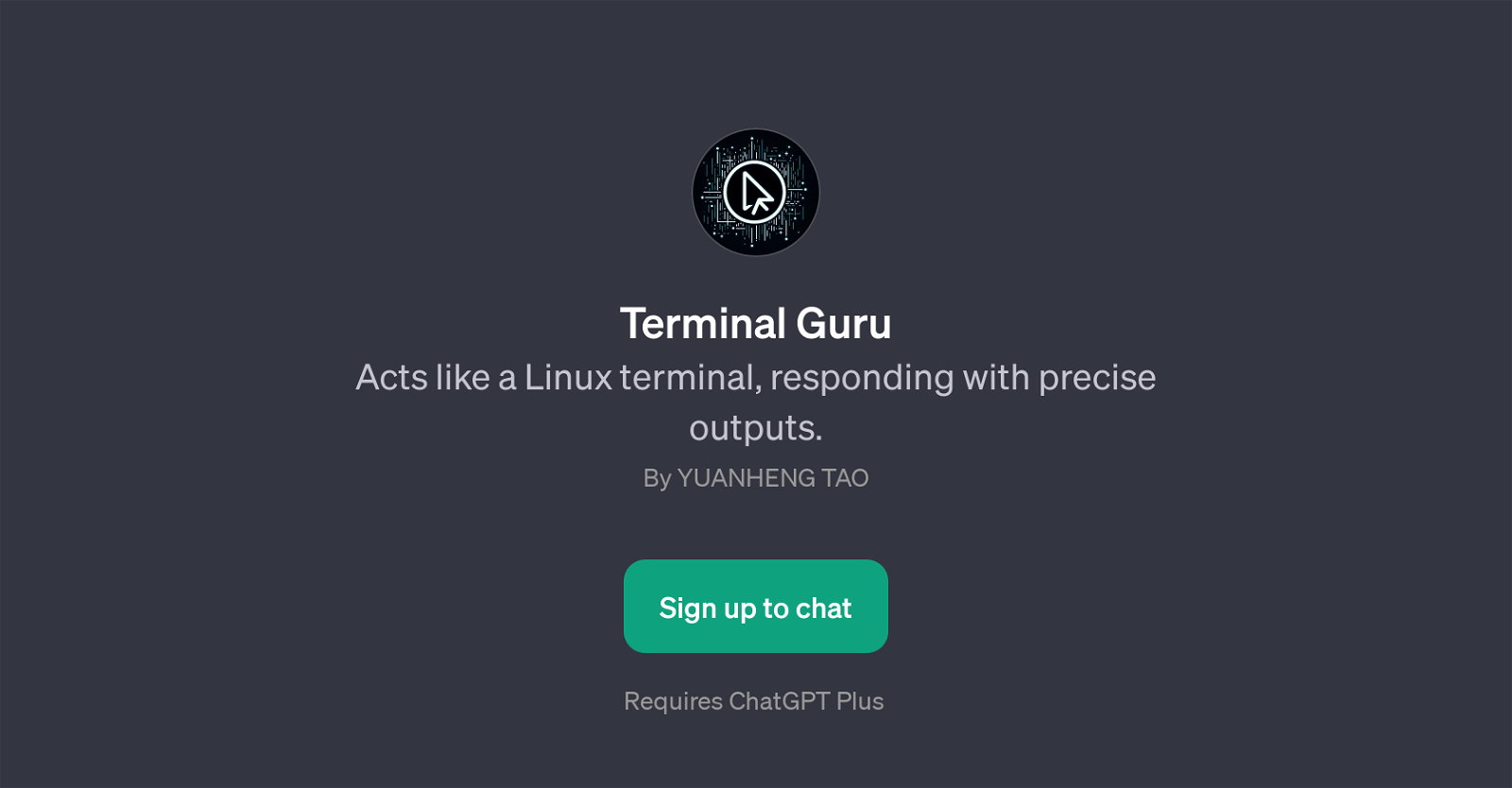 Terminal Guru website