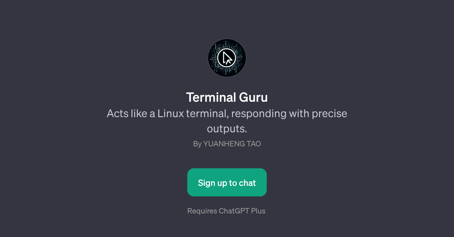 Terminal Guru website