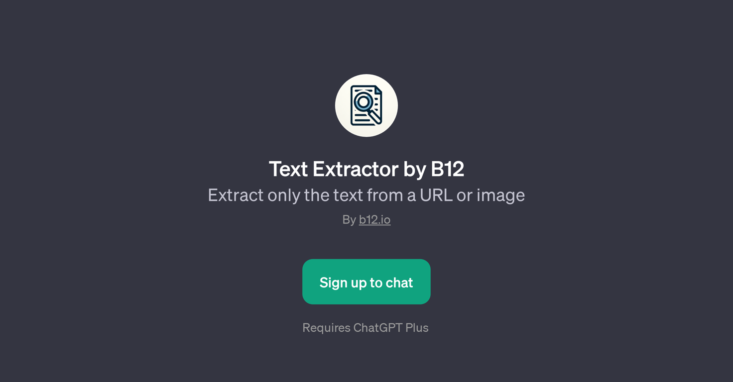 Text Extractor by B12 website