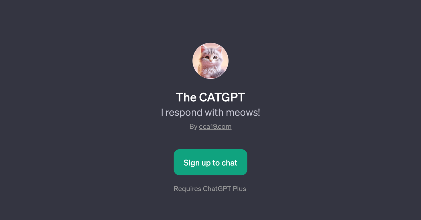 The CATGPT website