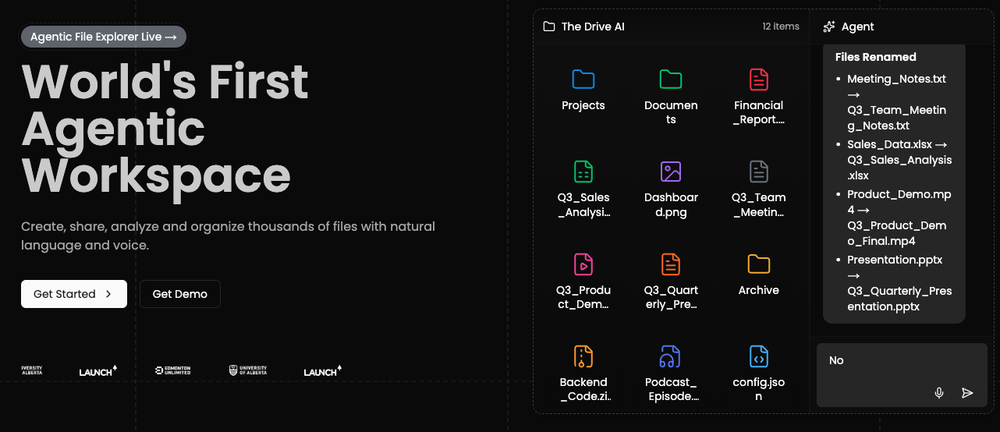 The Drive AI website