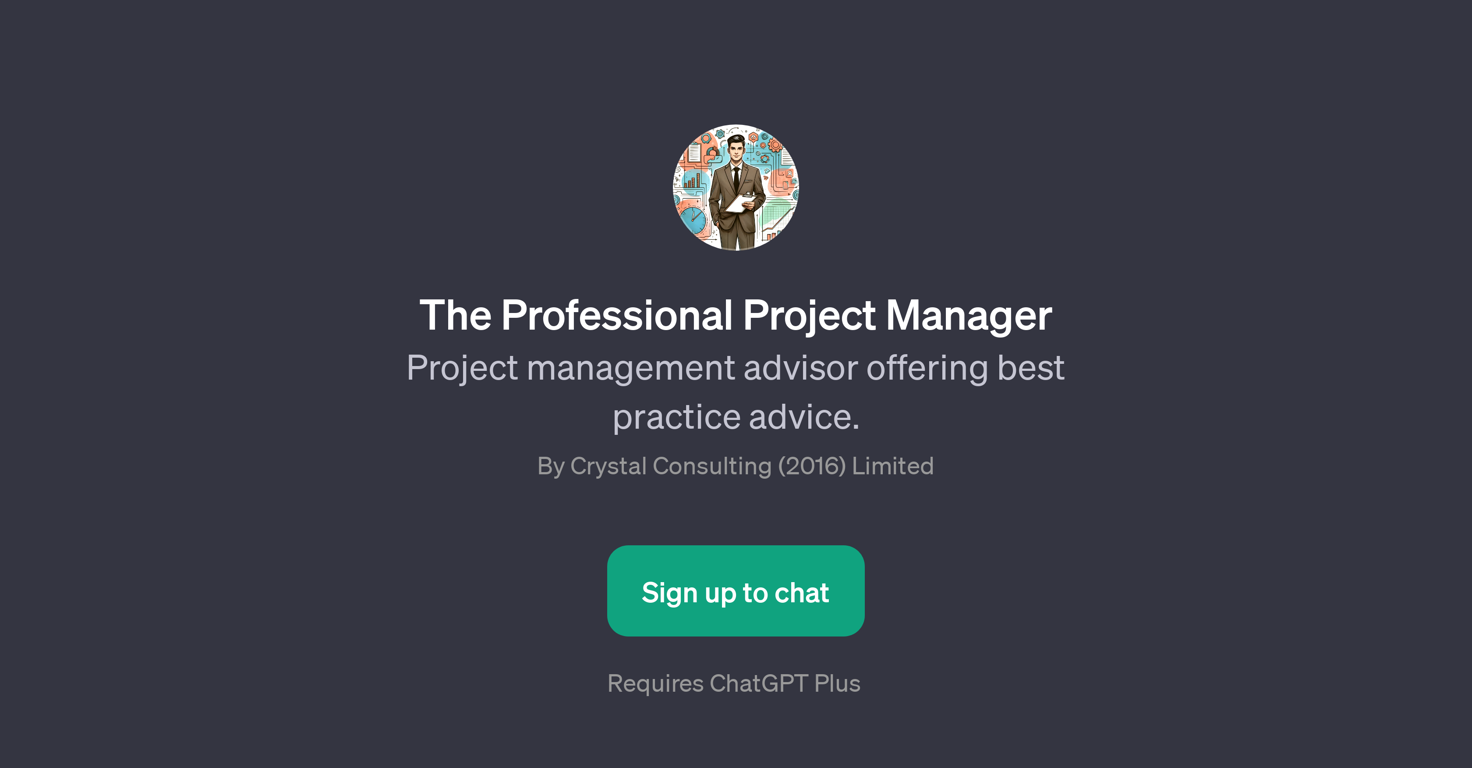 The Professional Project Manager website