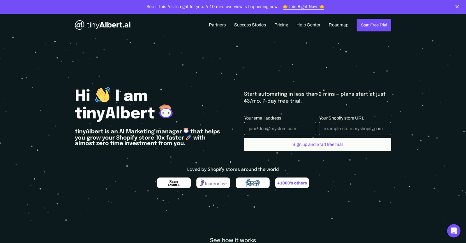 TinyAlbert website