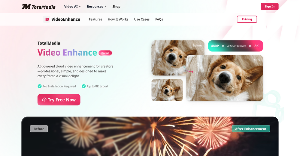 TotalMedia | Video Enhancer website