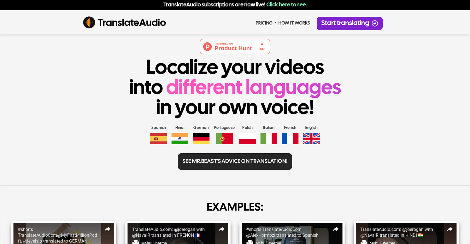 TranslateAudio website