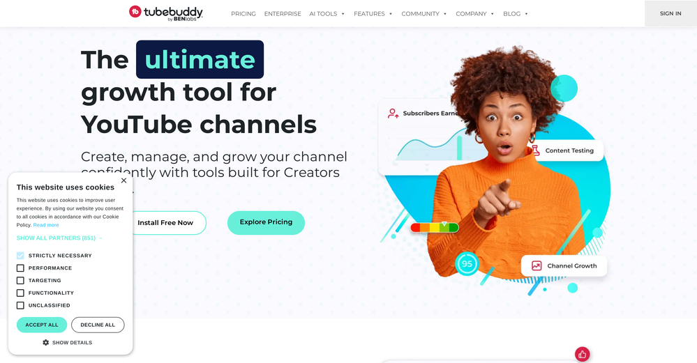 Tubebuddy website