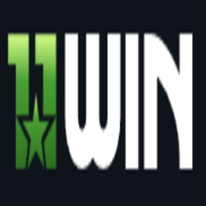 11winvin profile picture