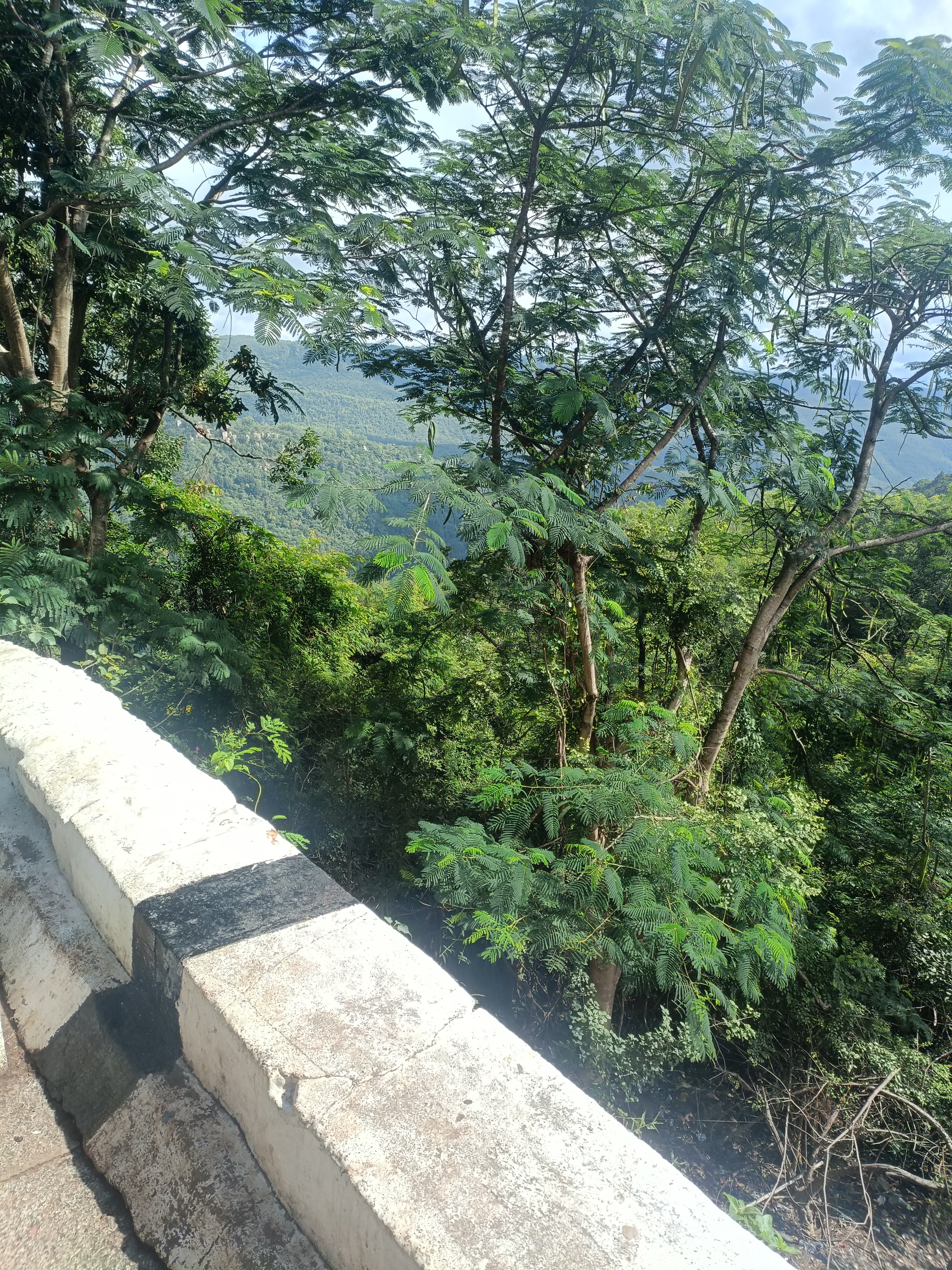 Aisha profile picture