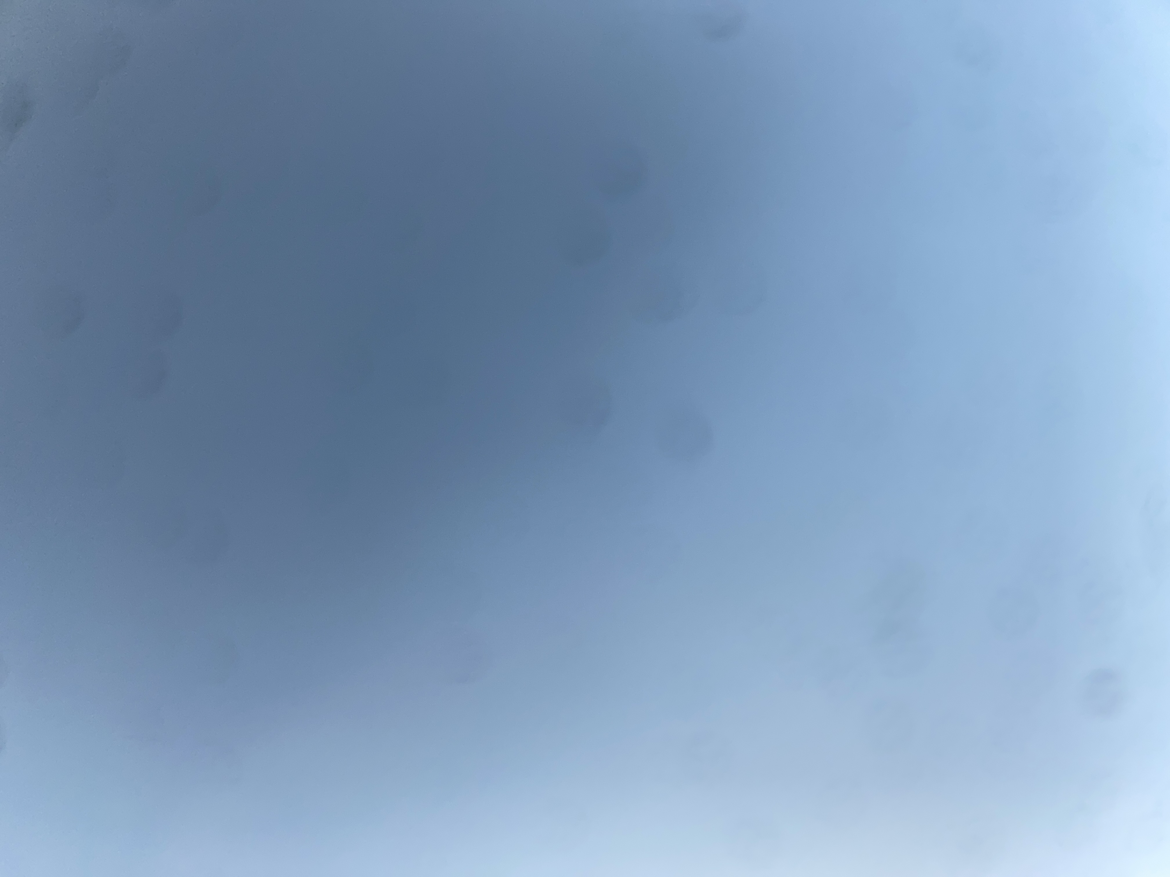 Alex coma profile picture