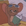 Alix Smith profile picture