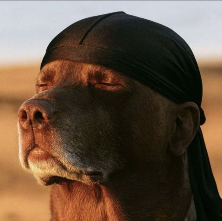 أنا لا أعرف لماذا profile picture