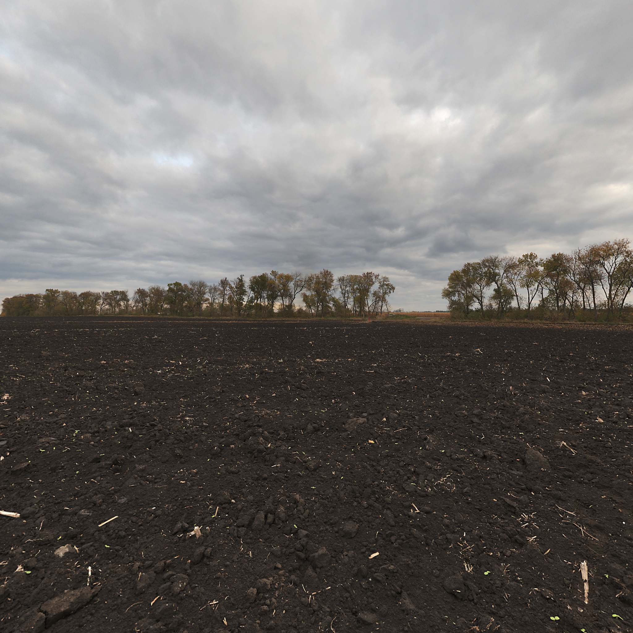 Johnathan C. profile picture