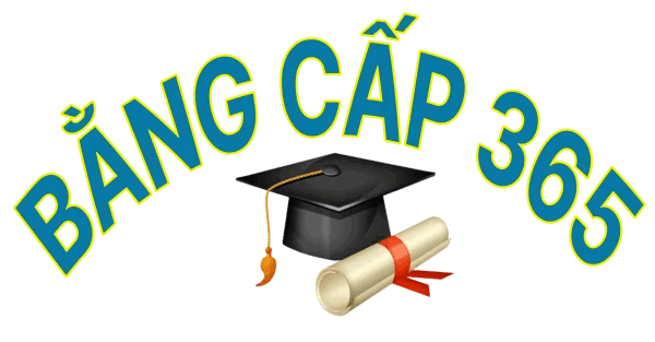 bangcapuytin profile picture