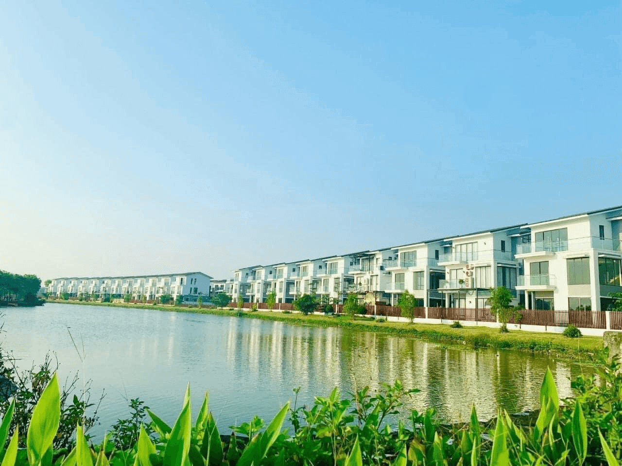 belhomeshaiphong profile picture